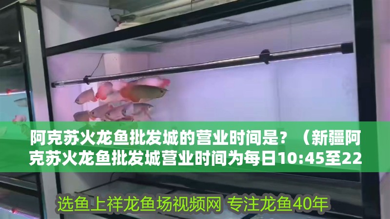 阿克蘇火龍魚批發城的營業時間是？（<strong><mark>新疆</mark></strong>阿克蘇火龍魚批發城營業時間為每日10:45至22:001）