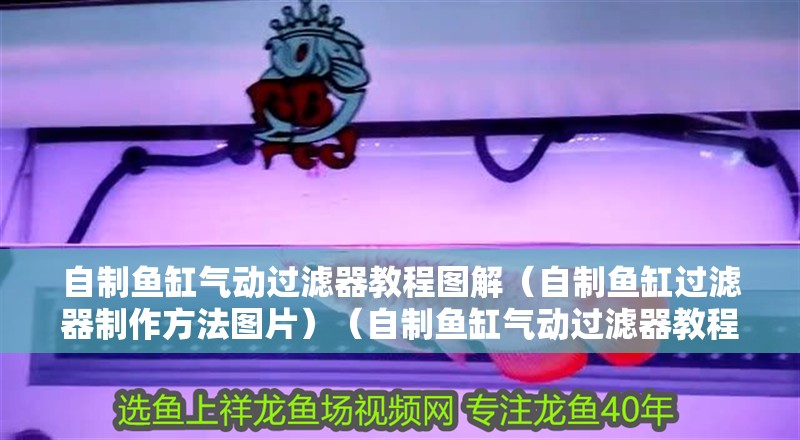 自制魚缸氣動過濾器教程圖解（自制魚缸過濾器制作方法圖片）（自制魚缸氣動過濾器教程）