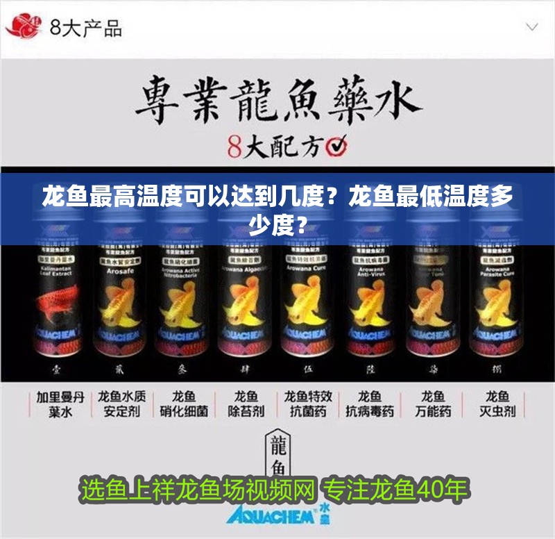 龍魚最高溫度可以達到幾度？龍魚最低溫度多少度？
