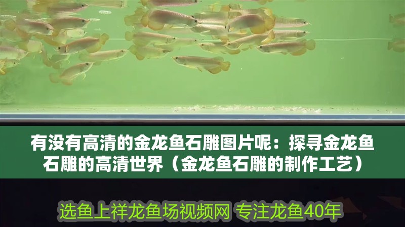 有沒有高清的金龍魚石雕圖片呢：探尋金龍魚石雕的高清世界（金龍魚石雕的制作工藝）