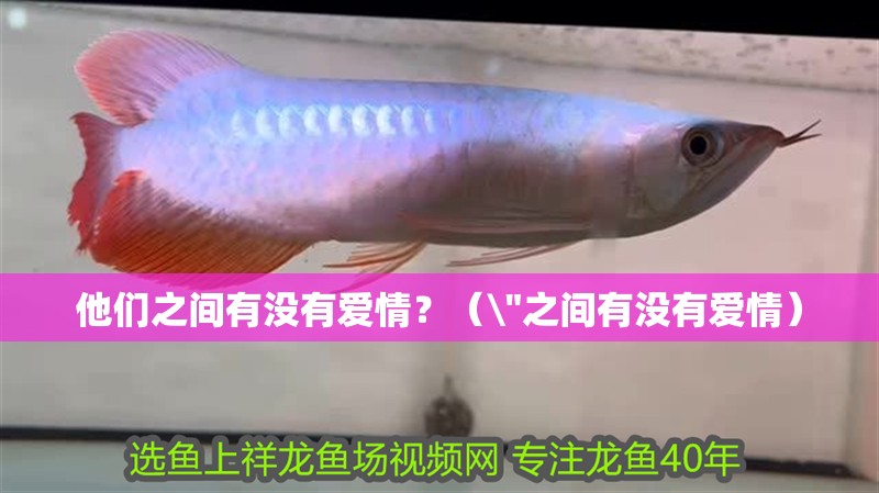 他們之間有沒有愛情？（\