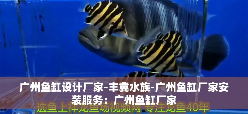 廣州魚缸設計廠家-豐冀水族-廣州魚缸廠家安裝服務：廣州魚缸廠家