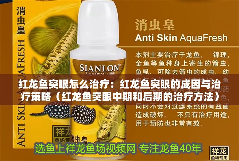 紅龍魚突眼怎么治療：紅龍魚突眼的成因與治療策略（紅龍魚突眼中期和后期的治療方法）