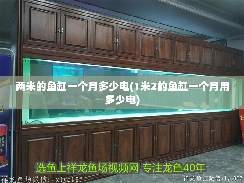 兩米的魚缸一個(gè)月多少電(1米2的魚缸一個(gè)月用多少電)