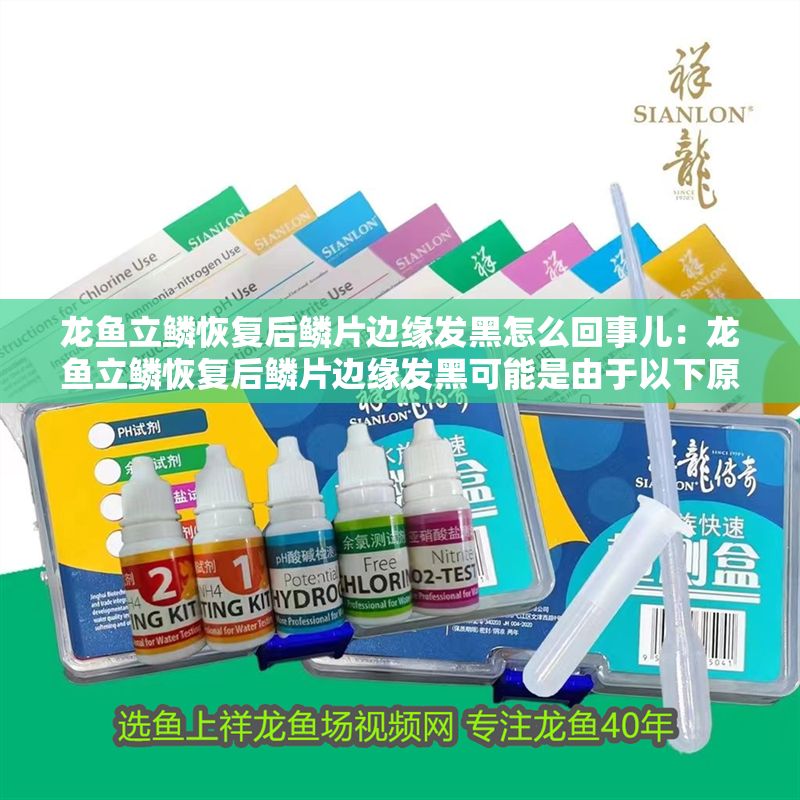 龍魚立鱗恢復后鱗片邊緣發(fā)黑怎么回事兒:龍魚立鱗恢復后鱗片邊緣發(fā)黑可能是由于以下原因之一 龍魚百科 第2張 龍魚立鱗恢復后鱗片邊緣發(fā)黑怎么回事兒:龍魚立鱗恢復后鱗片邊緣發(fā)黑可能是由于以下原因之一 龍魚立鱗恢復后鱗片邊緣發(fā)黑怎么回事兒:龍魚立鱗恢復后鱗片邊緣發(fā)黑可能是由于以下原因之一 龍魚百科 第2張