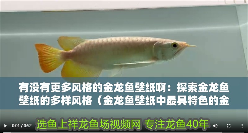 有沒有更多風格的金龍魚壁紙?。禾剿鹘瘕堲~壁紙的多樣風格（金龍魚壁紙中最具特色的金龍魚壁紙，適合家居環境選擇）