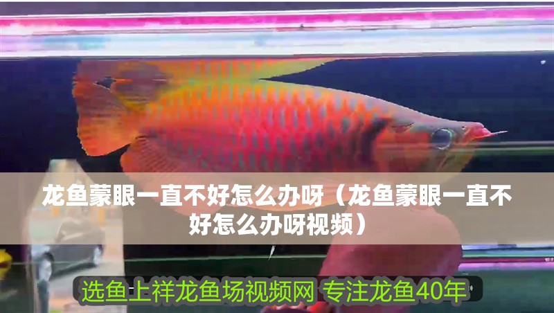 魚缸造景先放沙還是先放水(魚缸造景先鋪沙還是先放石頭) 龍魚蒙眼一直不好怎么辦呀(龍魚蒙眼一直不好怎么辦呀視頻) 觀賞魚百科 龍魚蒙眼一直不好怎么辦呀(龍魚蒙眼一直不好怎么辦呀視頻) 龍魚蒙眼一直不好怎么辦呀(龍魚蒙眼一直不好怎么辦呀視頻) 觀賞魚百科