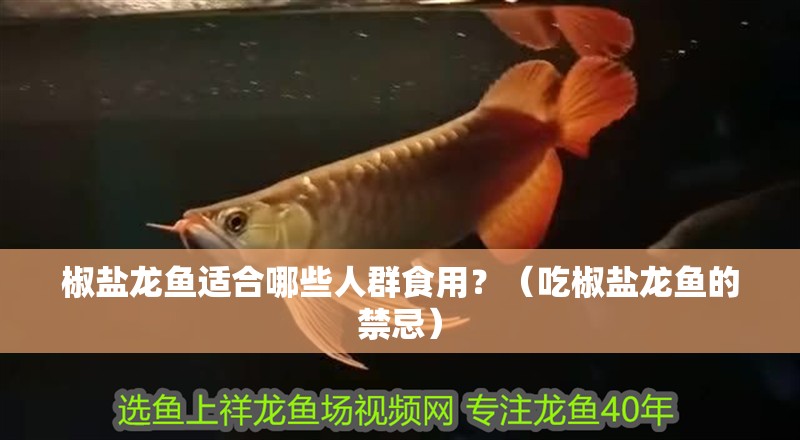 椒鹽龍魚適合哪些人群食用？（吃椒鹽龍魚的禁忌）