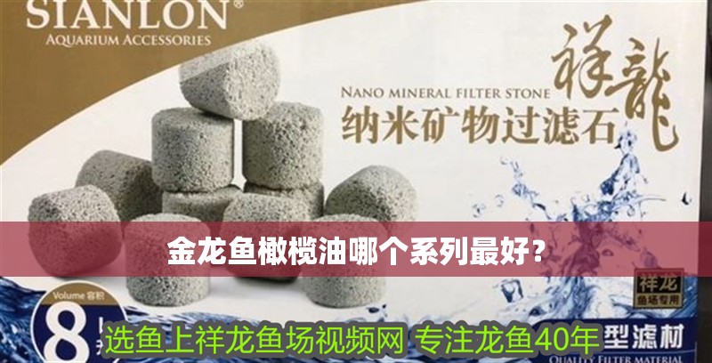 金龍魚橄欖油哪個系列最好？