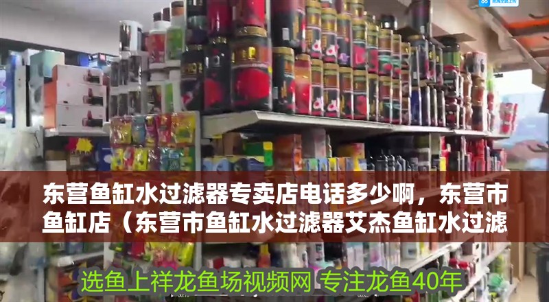 東營魚缸水過濾器專賣店電話多少啊，東營市魚缸店（東營市魚缸水過濾器艾杰魚缸水過濾器艾杰這個牌子好）