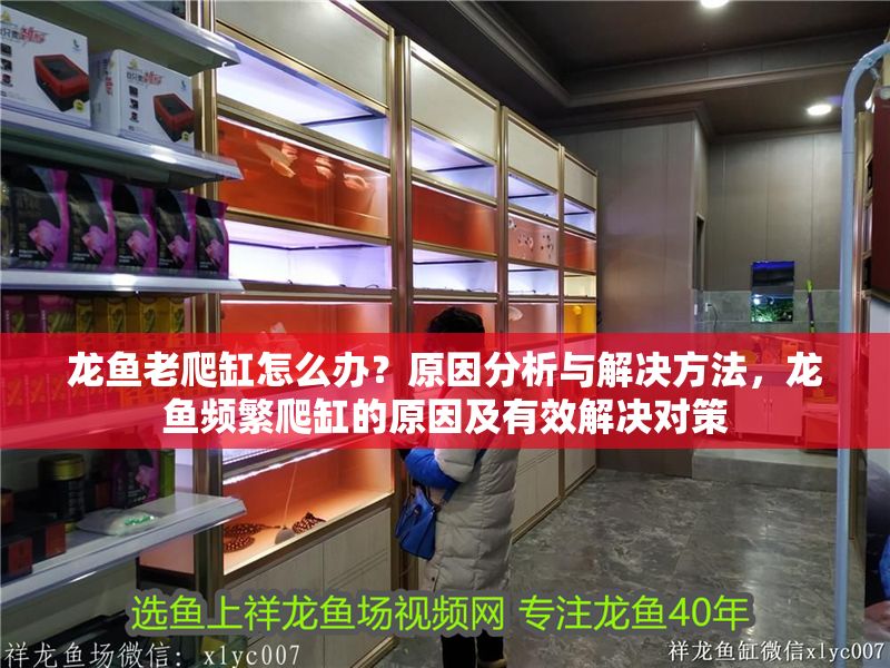 龍魚老爬缸怎么辦？原因分析與解決方法，龍魚頻繁爬缸的原因及有效解決對策