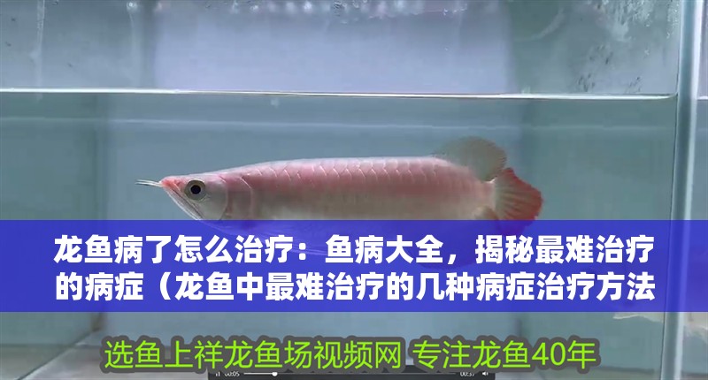龍魚(yú)病了怎么治療：魚(yú)病大全，揭秘最難治療的病癥（龍魚(yú)中最難治療的幾種病癥治療方法，龍魚(yú)最難治療的病癥） 龍魚(yú)病了怎么治療：魚(yú)病大全，揭秘最難治療的病癥（龍魚(yú)中最難治療的幾種病癥治療方法，龍魚(yú)最難治療的病癥） 水族問(wèn)答