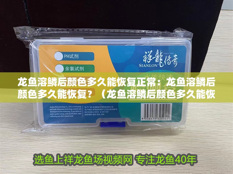 龍魚溶鱗后顏色多久能恢復正常：龍魚溶鱗后顏色多久能恢復？（龍魚溶鱗后顏色多久能恢復）
