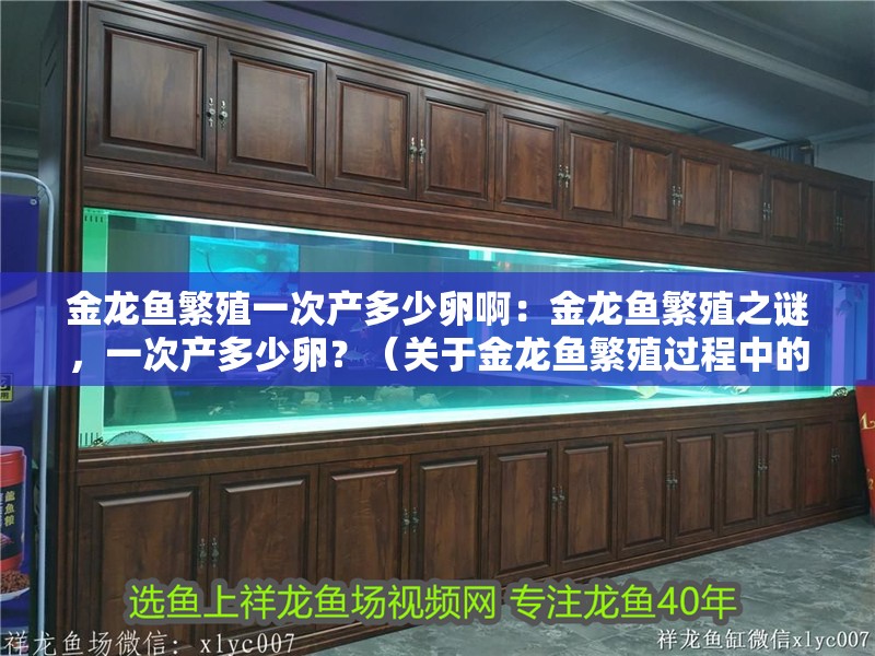 金龍魚繁殖一次產多少卵啊：金龍魚繁殖之謎，一次產多少卵？（關于金龍魚繁殖過程中的一個關鍵問題——產卵數量）