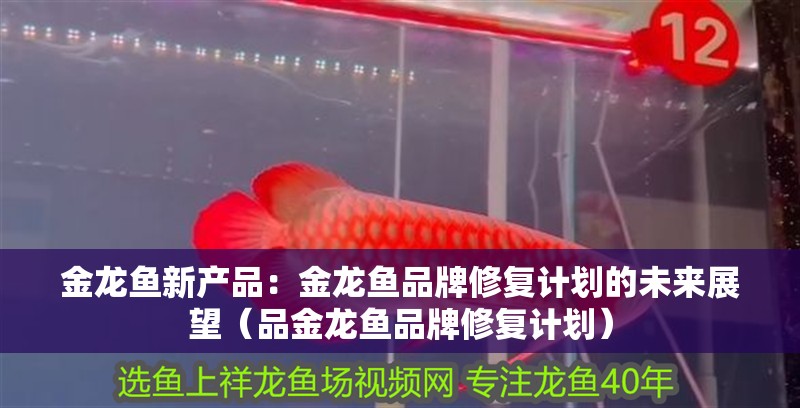 金龍魚新產品：金龍魚品牌修復計劃的未來展望（品金龍魚品牌修復計劃）