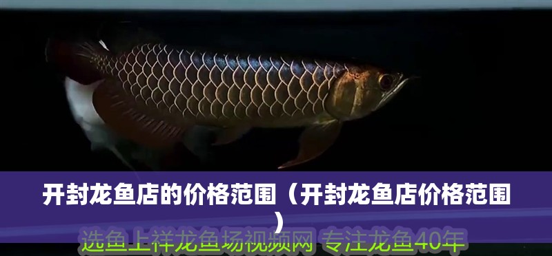 魚缸過濾器選購指南:自制魚缸過濾器魚缸上置過濾器對于養魚愛好者的必備知識 開封龍魚店的價格范圍(開封龍魚店價格范圍) 龍魚百科 開封龍魚店的價格范圍(開封龍魚店價格范圍) 開封龍魚店的價格范圍(開封龍魚店價格范圍) 龍魚百科