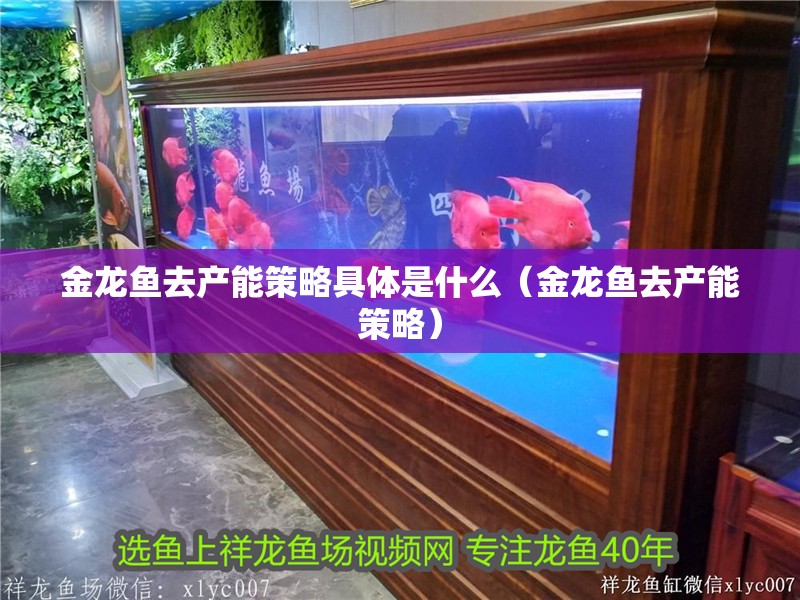 金龍魚去產能策略具體是什么（金龍魚去產能策略）