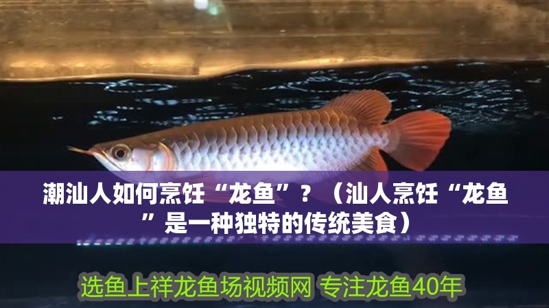 潮汕人如何烹飪“龍魚”？（汕人烹飪“龍魚”是一種獨特的傳統美食）