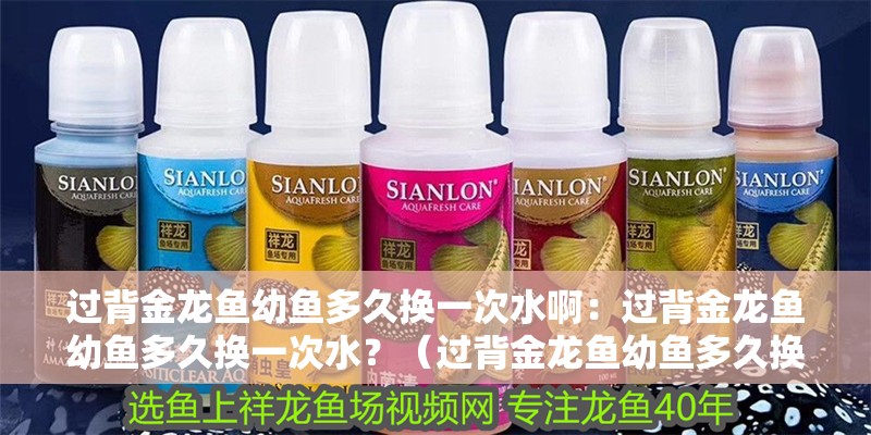 過背金龍魚幼魚多久換一次水啊：過背金龍魚幼魚多久換一次水？（過背金龍魚幼魚多久換一次水）
