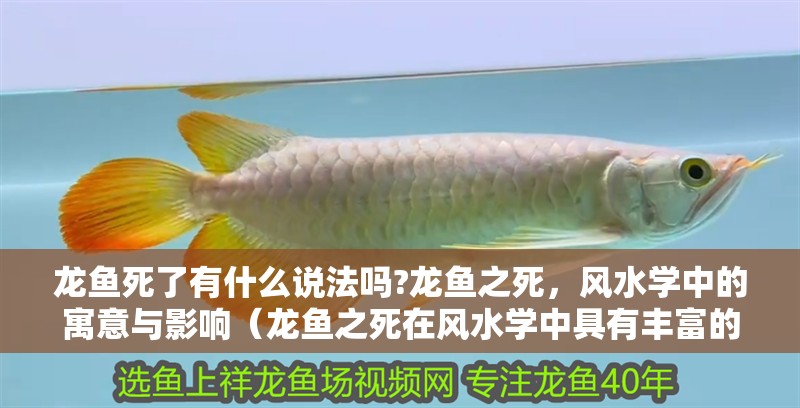 龍魚死了有什么說法嗎?龍魚之死，風水學中的寓意與影響（龍魚之死在風水學中具有豐富的寓意和寓意和影響的寓意和影響）