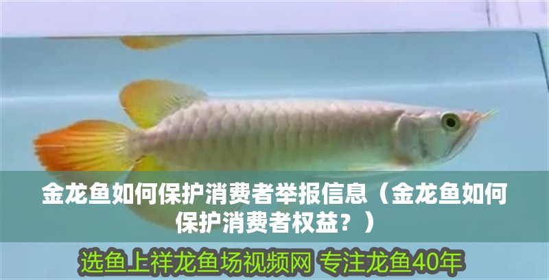 金龍魚如何保護(hù)消費(fèi)者舉報(bào)信息（金龍魚如何保護(hù)消費(fèi)者權(quán)益？）