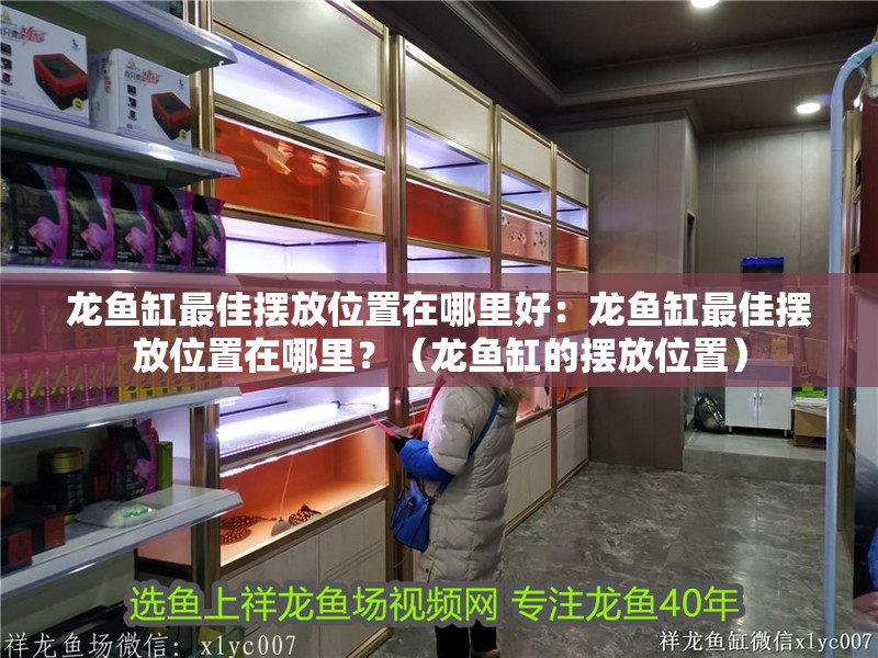 龍魚缸最佳擺放位置在哪里好：龍魚缸最佳擺放位置在哪里？（龍魚缸的擺放位置）
