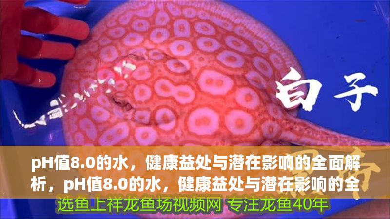 pH值8.0的水，健康益處與潛在影響的全面解析，pH值8.0的水，健康益處與潛在影響的全面解析