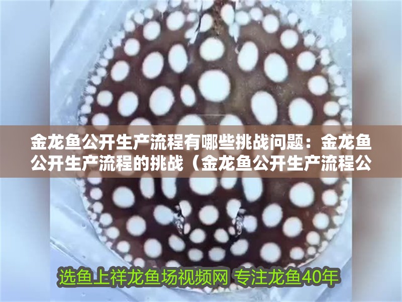 金龍魚公開生產流程有哪些挑戰問題：金龍魚公開生產流程的挑戰（金龍魚公開生產流程公開生產流程公開生產流程中的挑戰）