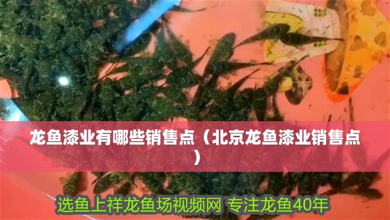 魚缸用增氧泵價格是多少:魚缸增氧機-xtrac增氧機-xtrac增氧機 龍魚漆業有哪些銷售點(北京龍魚漆業銷售點) 龍魚百科 龍魚漆業有哪些銷售點(北京龍魚漆業銷售點) 龍魚漆業有哪些銷售點(北京龍魚漆業銷售點) 龍魚百科