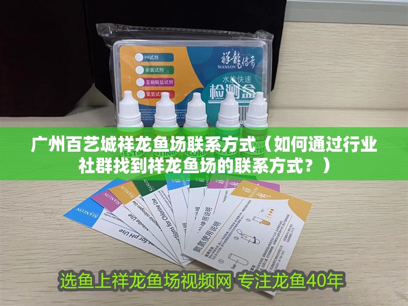廣州百藝城祥龍魚場聯系方式（如何通過行業社群找到祥龍魚場的聯系方式？）