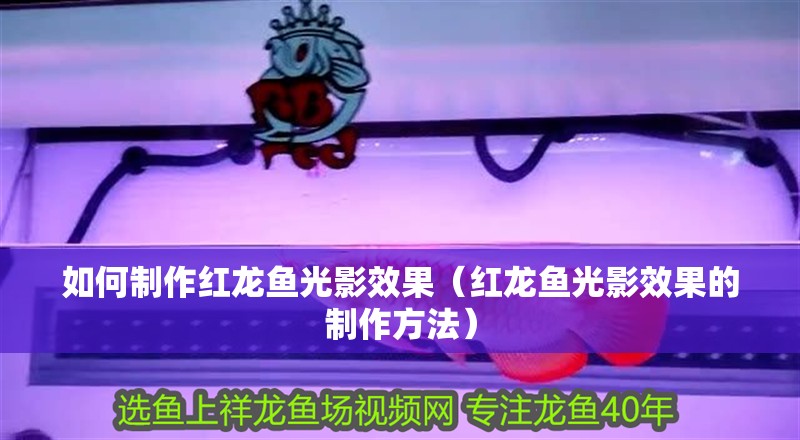 如何制作紅龍魚光影效果（紅龍魚光影效果的制作方法）