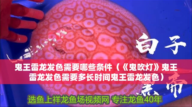 鬼王雷龍發(fā)色需要哪些條件（《鬼吹燈》鬼王雷龍發(fā)色需要多長時(shí)間鬼王雷龍發(fā)色）
