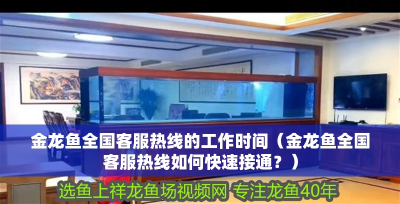 金龍魚全國客服熱線的工作時間（金龍魚全國客服熱線如何快速接通？）