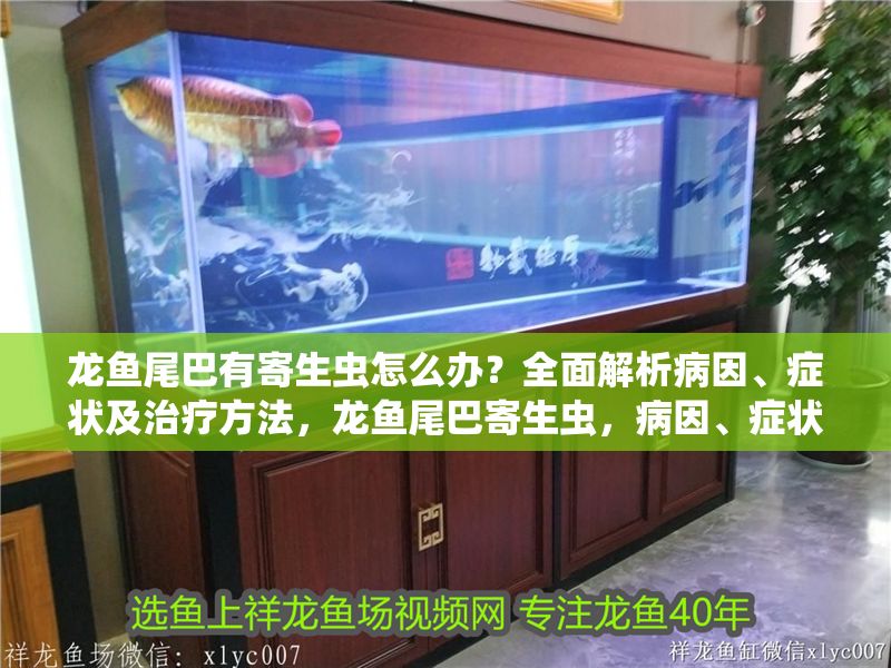 龍魚尾巴有寄生蟲怎么辦？全面解析病因、癥狀及治療方法，龍魚尾巴寄生蟲，病因、癥狀及治療全指南