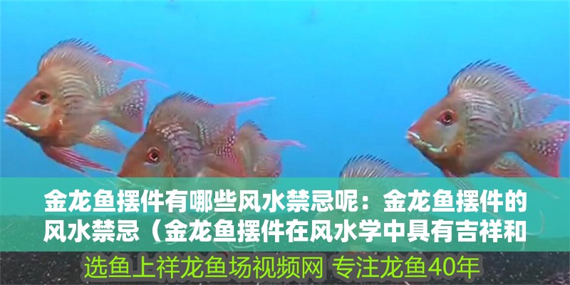 金龍魚擺件有哪些風水禁忌呢：金龍魚擺件的風水禁忌（金龍魚擺件在風水學中具有吉祥和招財的寓意，金龍魚擺件禁忌）