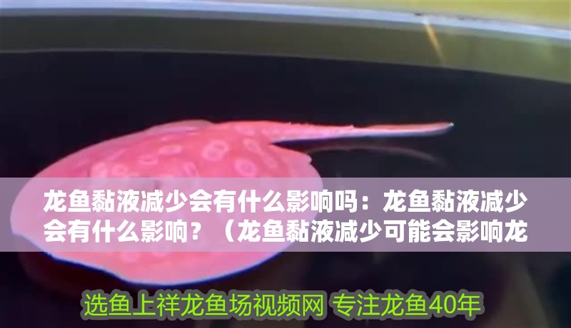龍魚黏液減少會有什么影響嗎：龍魚黏液減少會有什么影響？（龍魚黏液減少可能會影響龍魚的健康和行為產生負面影響）