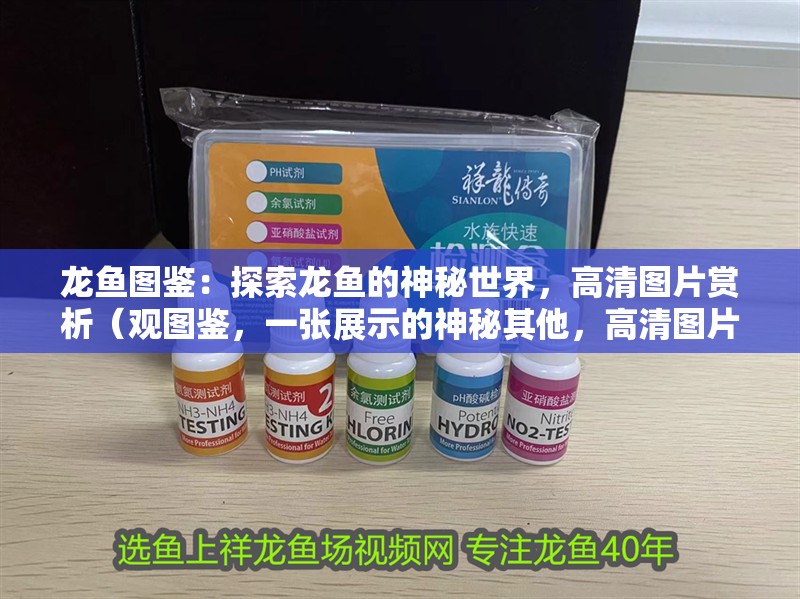 龍魚圖鑒：探索龍魚的神秘世界，高清圖片賞析（觀圖鑒，一張展示的神秘其他，高清圖片賞析）