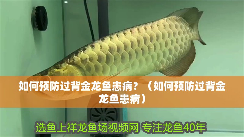 如何預(yù)防過(guò)背金龍魚患病？（如何預(yù)防過(guò)背金龍魚患病）