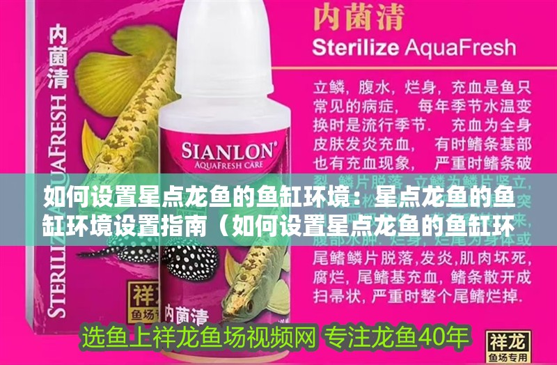 如何設置星點龍魚的魚缸環境：星點龍魚的魚缸環境設置指南（如何設置星點龍魚的魚缸環境） 如何設置星點龍魚的魚缸環境：星點龍魚的魚缸環境設置指南（如何設置星點龍魚的魚缸環境） 水族問答