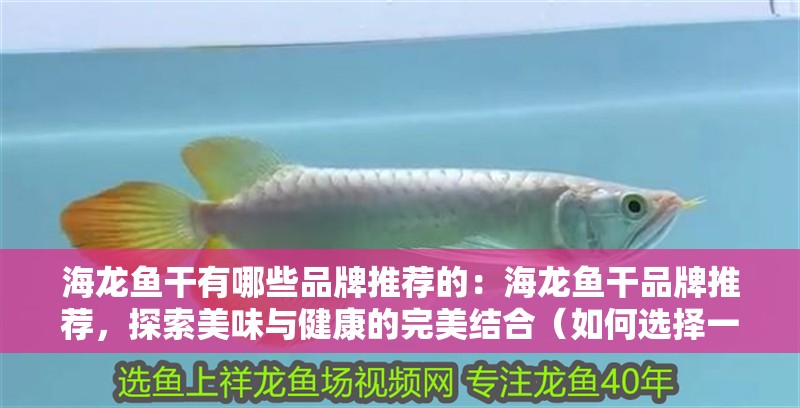 海龍魚干有哪些品牌推薦的：海龍魚干品牌推薦，探索美味與健康的完美結合（如何選擇一款優質的海龍魚干）