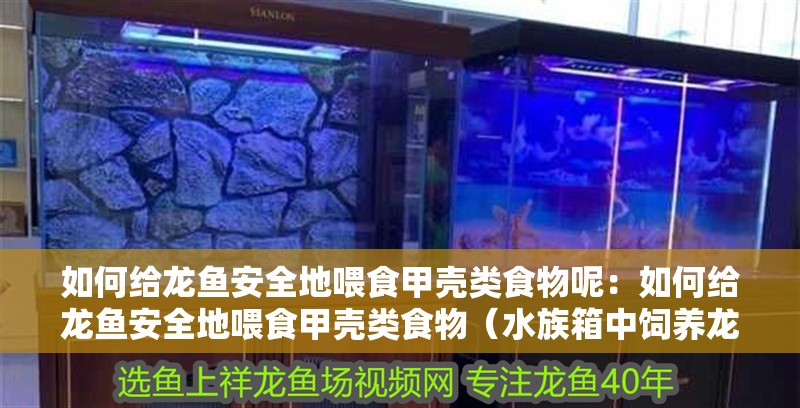 如何給龍魚安全地喂食甲殼類食物呢：如何給龍魚安全地喂食甲殼類食物（水族箱中飼養龍魚的注意事項）