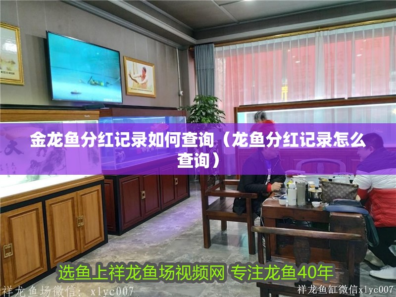 金龍魚分紅記錄如何查詢（龍魚分紅記錄怎么查詢）