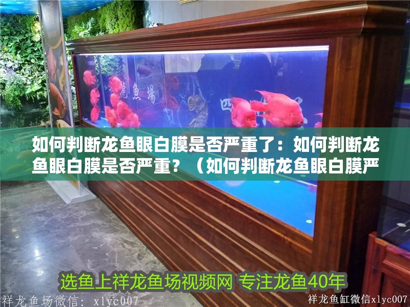 如何判斷龍魚眼白膜是否嚴重了：如何判斷龍魚眼白膜是否嚴重？（如何判斷龍魚眼白膜嚴重）
