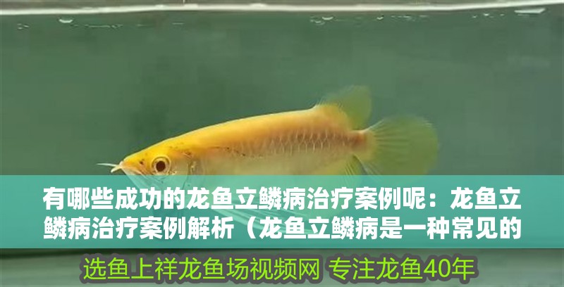 有哪些成功的龍魚立鱗病治療案例呢：龍魚立鱗病治療案例解析（龍魚立鱗病是一種常見的疾病，醫生為她推薦藥物治療）