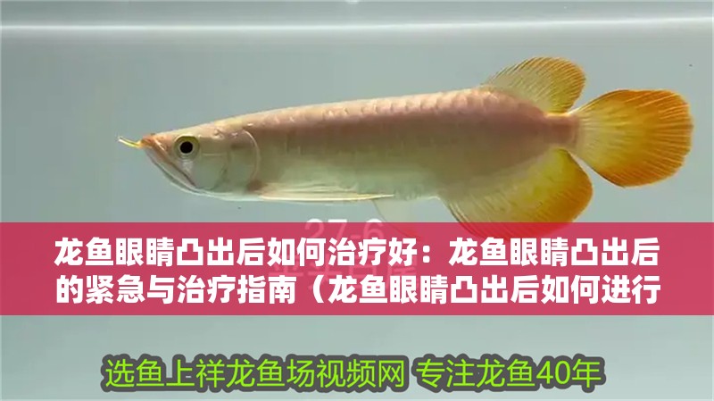 龍魚(yú)眼睛凸出后如何治療好：龍魚(yú)眼睛凸出后的緊急與治療指南（龍魚(yú)眼睛凸出后如何進(jìn)行治療）