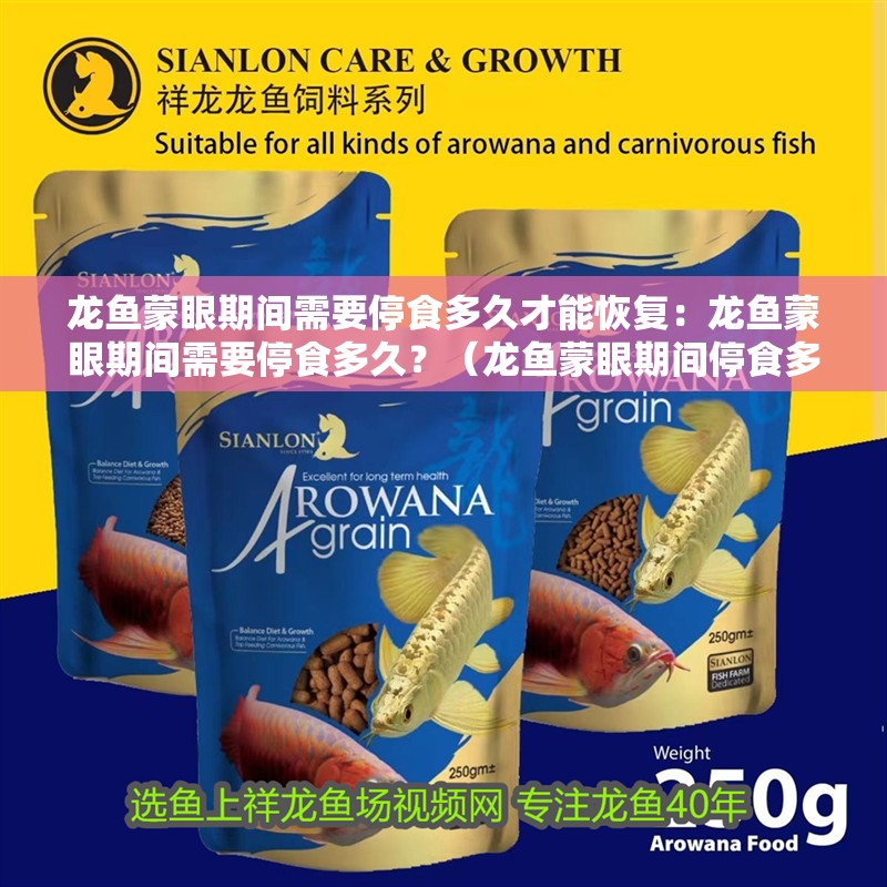 龍魚蒙眼期間需要停食多久才能恢復：龍魚蒙眼期間需要停食多久？（龍魚蒙眼期間停食多久需要停食多久）