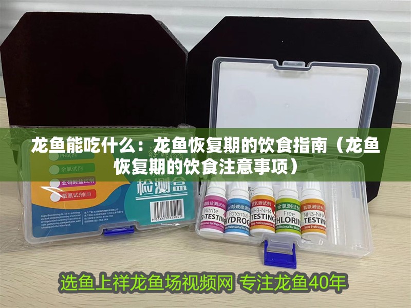 龍魚能吃什么：龍魚恢復(fù)期的飲食指南（龍魚恢復(fù)期的飲食注意事項(xiàng)） 龍魚能吃什么：龍魚恢復(fù)期的飲食指南（龍魚恢復(fù)期的飲食注意事項(xiàng)） 水族問答