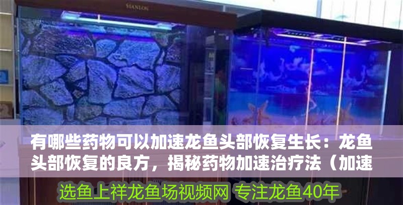 有哪些藥物可以加速龍魚頭部恢復生長：龍魚頭部恢復的良方，揭秘藥物加速治療法（加速龍魚頭部恢復的藥物可以加速龍魚頭部恢復的藥物）