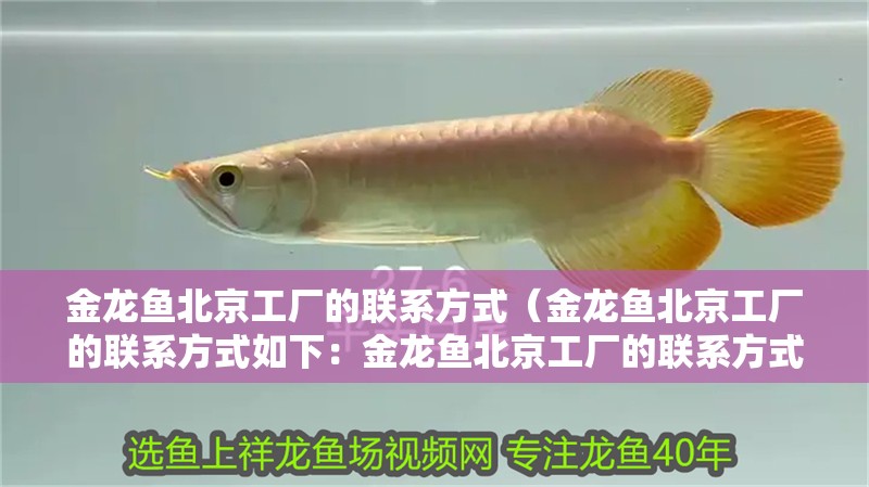 金龍魚北京工廠的聯(lián)系方式（金龍魚北京工廠的聯(lián)系方式如下：金龍魚北京工廠的聯(lián)系方式）