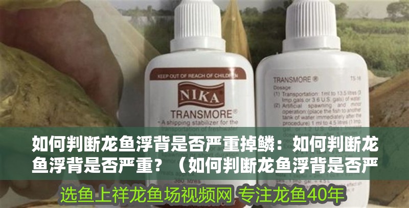 如何判斷龍魚浮背是否嚴重掉鱗：如何判斷龍魚浮背是否嚴重？（如何判斷龍魚浮背是否嚴重）